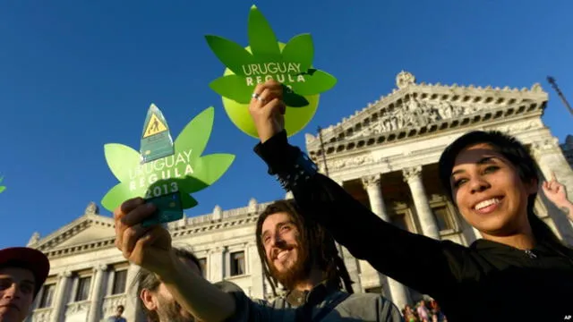Uruguay es pionera en la legalización del cannabis. Foto: Voa News   