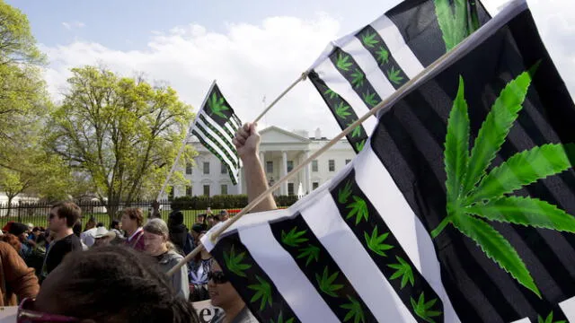 Hay 15 estados que permiten el uso de cannabis. Foto: BBC   