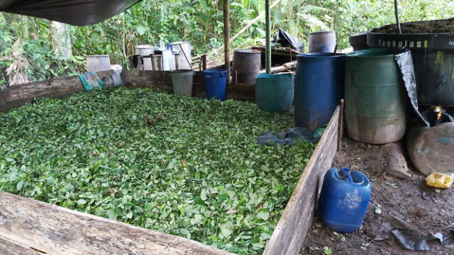 cocaína | colombia | tráfico de drogas