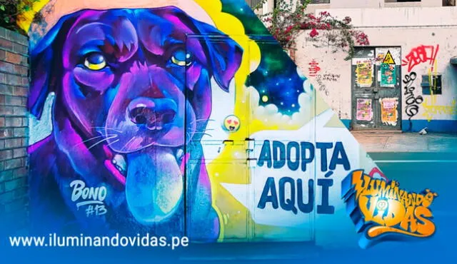 Los murales hechos por talentosos artistas están ubicados en diferentes puntos del distrito de Surco. Foto: 'Iluminando vidas'    