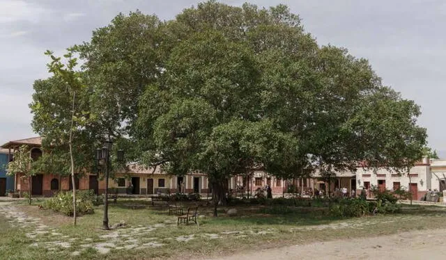  El Macondo de la vida real se encuentra a cuatro horas de Bogotá, en Colombia. Foto: Netflix    