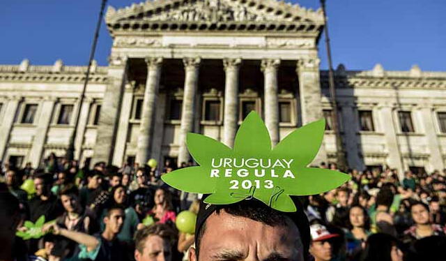 Gobierno de Uruguay estableció en 2013 el uso legal de la marihuana. Foto: Diagonal   