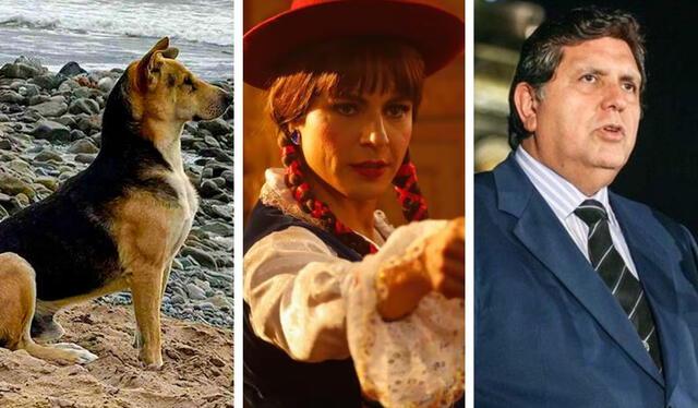 Esta son las películas que siguen en cartelera. Foto: 'Vaguito'/'Chabuca'/'Vivo o muerto'   