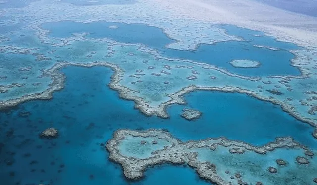 La Gran Barrera de Coral es la estructura viva más grande de la tierra. Foto: Mathkind   