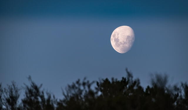  El núcleo lunar es sólido, según la revista Nature. Foto: Pixabay   