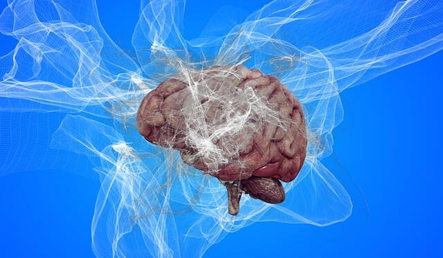  El hipocampo es la región cerebral donde se almacenan los recuerdos. Foto: Pixabay   