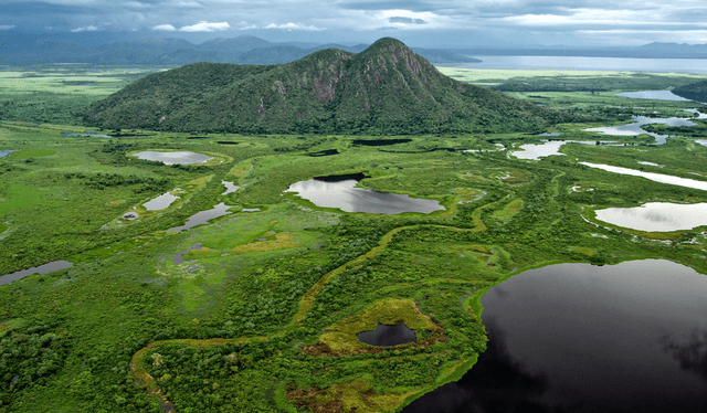La región del Pantanal, en Brasil, alberga una impresionante variedad de vida, desde jaguares hasta guacamayos. Foto: REDUX   