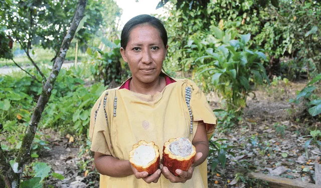  Fruto. Comunera muestra el cacao que impulsan en la RCY. Foto: DRIS   