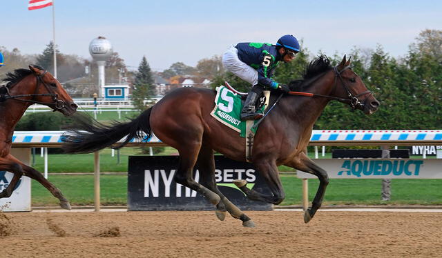 Sierra Leone, hijo de Gun Runner, es el caballo más costoso del Kentucky Derby 2024. Foto: Kentucky Derby   