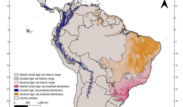  Gráfico que representa la distribución actual y prevista de todas las especies de tigrillos. Imagen: Scientific Reports   