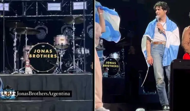 Llamita peruana estuvo en Argentina. Foto: composición LR/ TikTok    