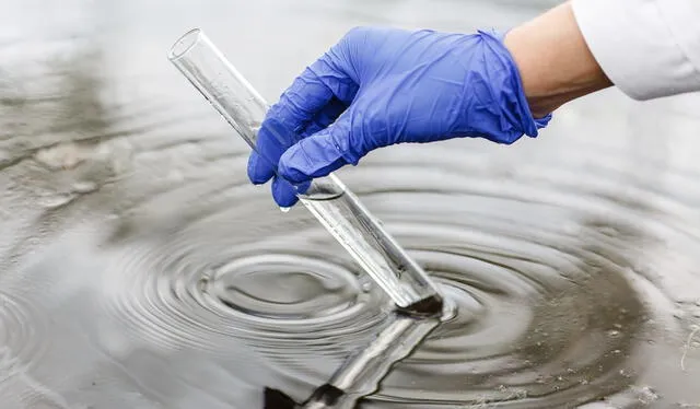  Investigadores de Australia buscan la solución para desaparecer los PFAS del agua. Foto: The Food Tech   