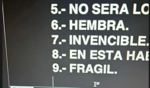  Salim Vera compartió setlist del concierto de Libido. Foto: Instagram/Salim Vera    