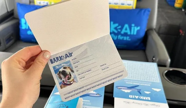 Bark Air, la nueva aerolínea pet-friendly. Foto: Instagram Bark Air 