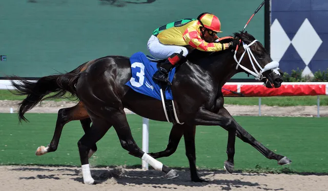 Emisael Jaramillo estará en la monta de Grand Mo The First. Foto: Kentucky Derby   