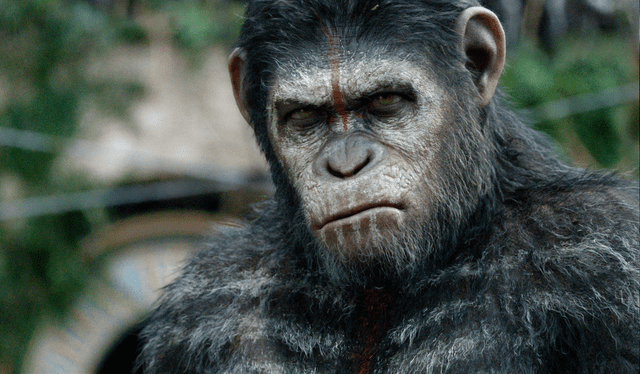  César lideró la revolución de los monos a lo largo de la trilogía del reinicio de la saga y que comenzó en 2011. Foto: 20th Century Fox    