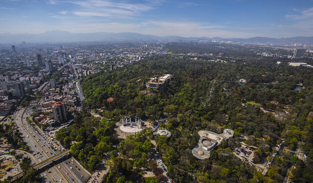  Bosque de Chapultepec. Foto: Cortesía 