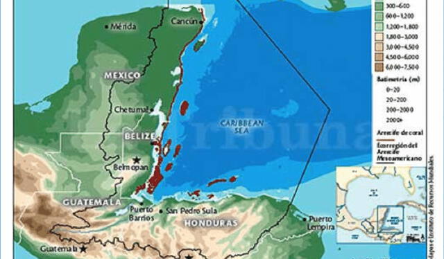 El Arrecife Mesoamericano abarca México, Guatemala, Honduras y Belice. Foto: ResearchGate   