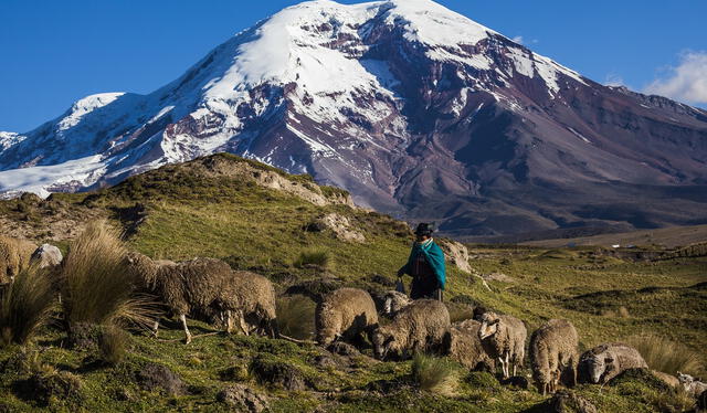  La cordillera de los Andes es parte de una de las regiones de ese país. Foto: Aves Travels<br>    
