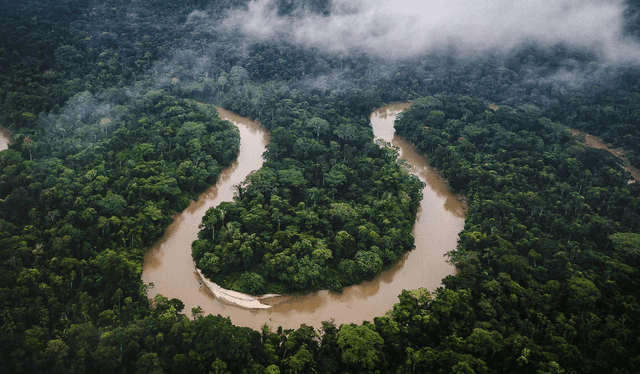 El Amazonas es una de las 7 maravillas naturales del mundo. Foto: Wired   