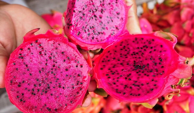 La pitahaya de pulpa roja es más común en nicaragua. Foto: Frutropics   