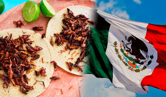 El mexicano suele acompañar sus tortillas con hormigas o chapulines. Foto: composción LR / Architecture MX / iStore   