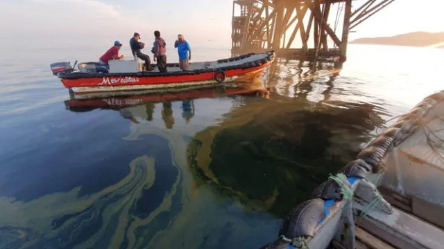  En marzo de este año se registró un caso de derrame de petróleo en la localidad de Cabo Blanco, en Piura. Foto: MOCCIC   