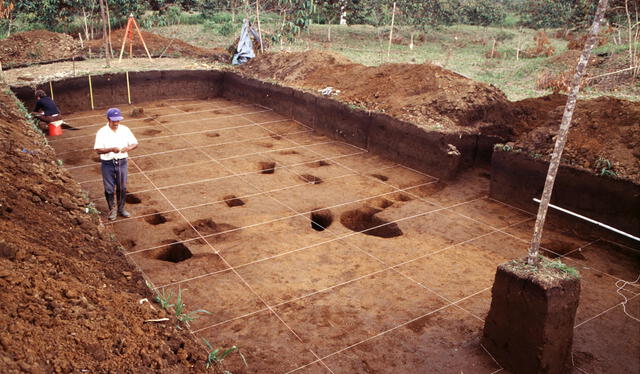 Los investigadores realizaron excavaciones arqueológicas a gran escala. Foto: S. Rostain/EFE   