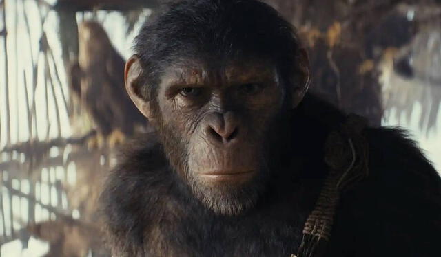  ‘El planeta de los simios: nuevo reino’ es la película de mayor duración de la franquicia. Foto: 20th Century Studios    