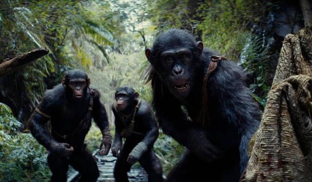  ‘El planeta de los simios: nuevo reino’ tuvo un presupuesto inicial que fluctúa entre los 160 y 165 millones de dólares. Foto: 20th Century Studios    