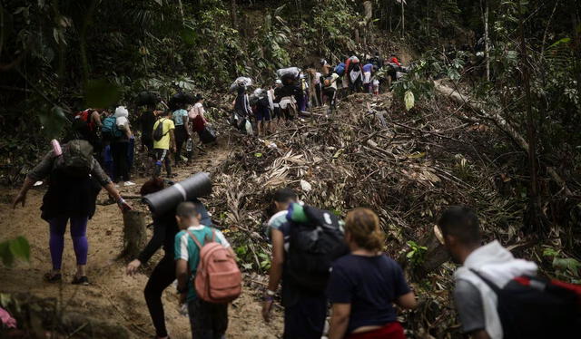 Migrantes caminan a través de la región del Darién, de Colombia a Panamá. Foto: Associated Press   