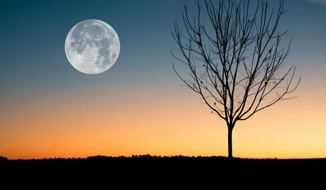  En el 2025, la aparición de la 'Luna de Flores' será el 12 de mayo. Foto: Pexels   