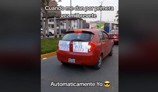  Clip es viral en TikTok. Foto: TikTok   