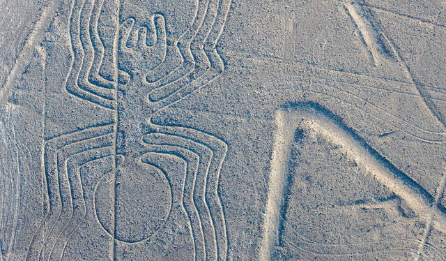 El geoglifo en el valle de Virú sería contemporáneo a las líneas de Nazca. Foto: Nat Geo   
