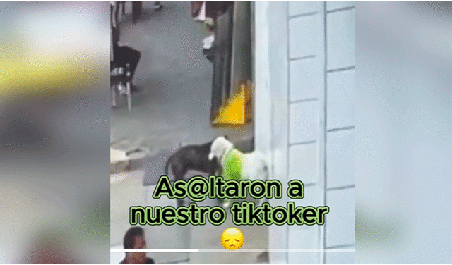  Las imágenes del ‘asalto’ del can se volvieron virales y miles no tardaron en dejar sus curiosos comentarios. Foto: composición LR/TikTok/@mundodelascerámicas.sac   
