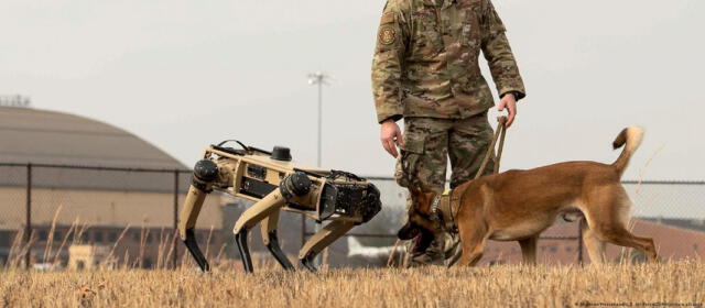  Los robots están tomando la estructura de los perros para la base de Estados Unidos. Foto: DW   