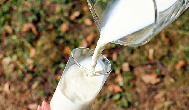  Un estudio reveló que la leche tiene mejores efectos rehidratantes que el agua. Foto: Pixabay<br><br>    