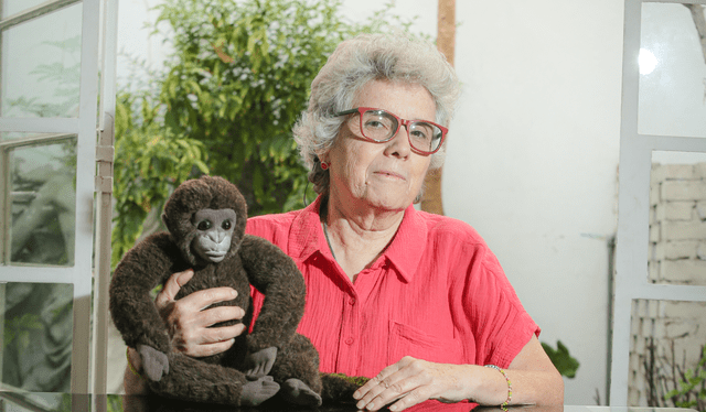 Mariella tiene un peluche de mono que ha sido pintado para parecerse a un mono choro cola amarilla. Foto: John Reyes / La República   