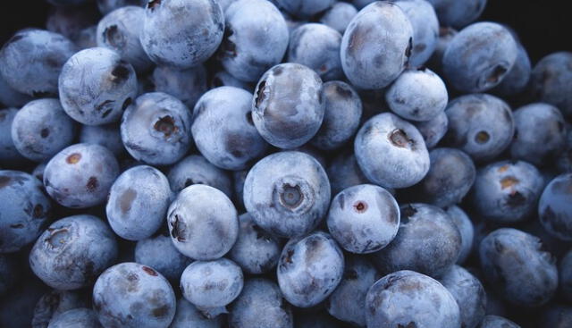  El arándano tiene efectos antioxidantes. Foto: SQM   