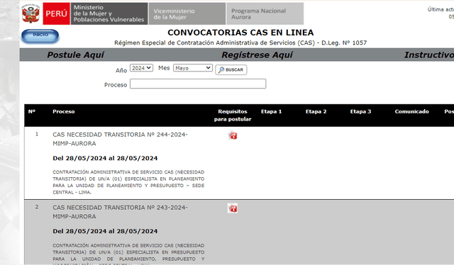 Pagina web de convocatorias CAS del Ministerio de la Mujer, aquí encontrarás mayores detalles del puesto al cual piensa postular. Foto: Ministerio de la Mujer. 