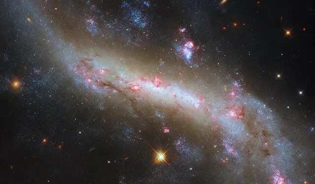  El telescopio Hubble captó nuevas imágenes de la galaxia espiralada NGC 4731. Foto: NASA   