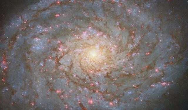  La galaxia en espiral 4689 recibe el nombre de "Cabello de la Reina" por estar en la constelación de Coma Berenices, en honor a la reina de Egipto. Foto: NASA   