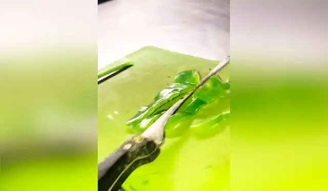  Las imágenes de TikTok superaron los 10 millones de reproducciones. Foto: composición LR/TikTok/@marelys.zelaya   