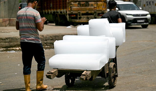 Unos trabajadores transportan bloques de hielo en un carro de mano durante un caluroso día de verano en Nueva Delhi. Foto: AFP   