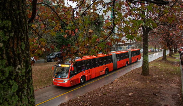 El transporte público de la ciudad es eco amigable. Foto: El país   