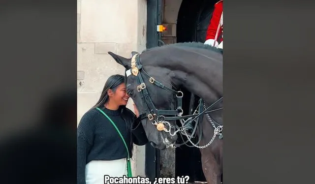 Video viral acumuló millones de vistas en redes sociales. Foto: TikTok    