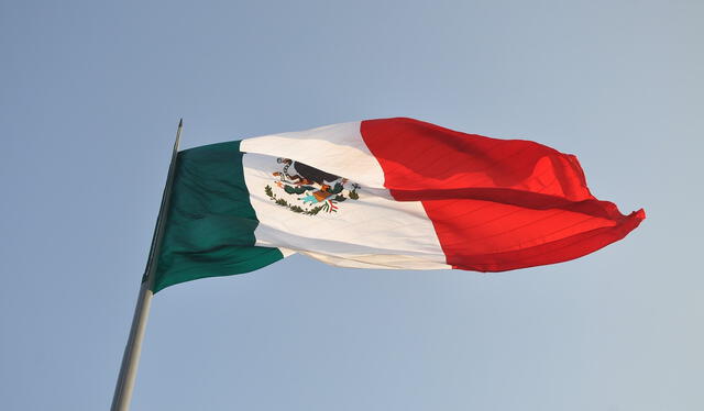  En México, el candidato que recibe la mayor cantidad de votos en una contienda electoral es el que resulta elegido para ocupar el cargo en disputa    