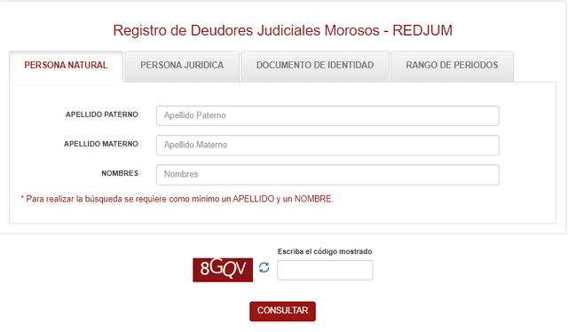 Registro de Deudores Judiciales Morosos. Foto: Poder Judicial   