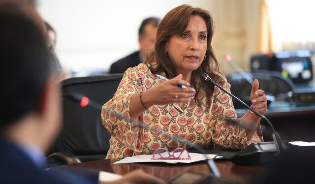 Denuncia contra Dina Boluarte tuvo consecuencia una demanda contra Juan Carlos Villena. Foto: Presidencia   