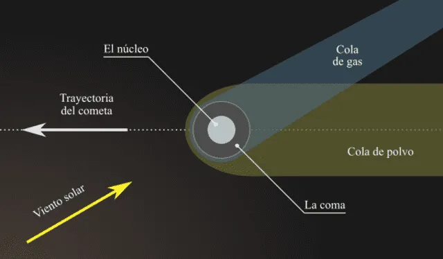 Infografía con partes de un cometa. Foto: Astrosigma   